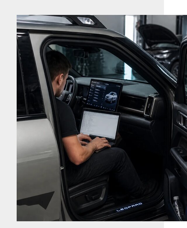 Русификация BYD Leopard 3 в Бийске по цене от 20670 р. | ФастМобиль-Бск